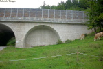 Talbrücke Thalgau