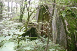 Ruine bei Oberwang