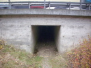 4. UF im Köschinger Forst 4. UF im Köschinger Forst