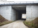 2. UF im Köschinger Forst 2. UF im Köschinger Forst